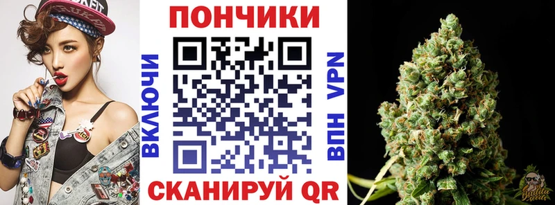 Конопля план  Шимановск 